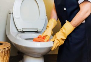 Kuidas puhastada WC-potti?