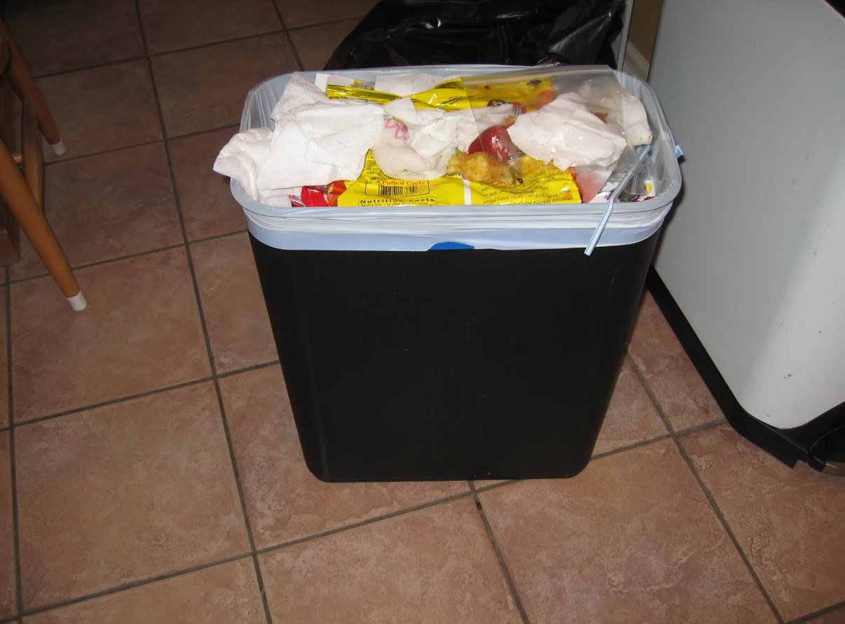 Prügikasti lõhn kaob igaveseks: päästab vahend, mis ei nõua raha ega pingutust