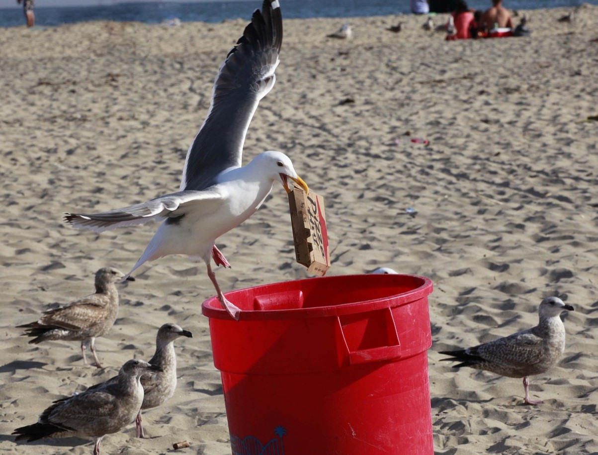 Prügikasti lõhn kaob igaveseks: päästab vahend, mis ei nõua raha ega pingutust