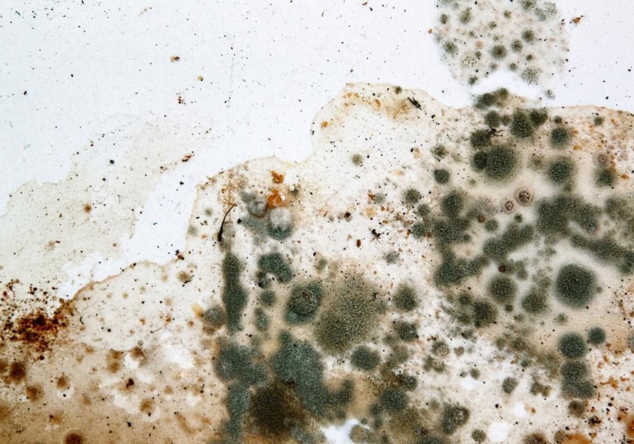 See lahendus eemaldab isegi punase veini ja hallituse püsivad plekid.