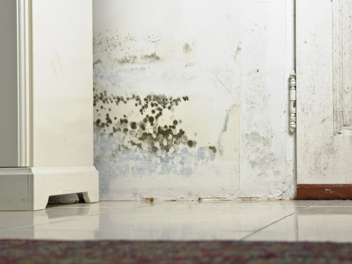 See lahendus eemaldab isegi punase veini ja hallituse püsivad plekid.