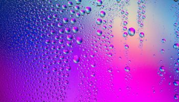 Te ei pea enam pidevalt akendelt vett pühkima. Lihtne niiskuse neelaja toimib nagu käsn.