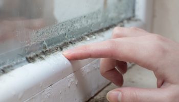 Kuidas kiiresti vabaneda akende hallitusest: 2 lusikatäit seda vahendit lapile – ja hallitust pole enam