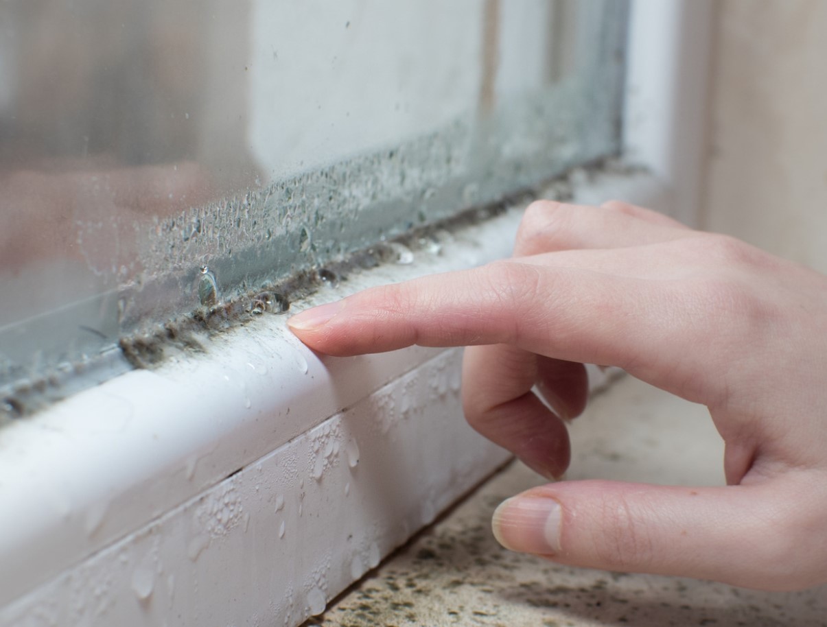 Kuidas kiiresti vabaneda akende hallitusest: 2 lusikatäit seda vahendit lapile – ja hallitust pole enam